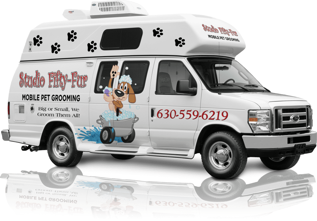Studio Fifty Fur Mobile Grooming Let the Groomer Come to You!
